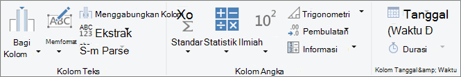 Tipe data dikelompokkan pada tab pita Tambahkan Kolom