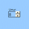 Contoh dari kontrol pemutar toolbar Formulir
