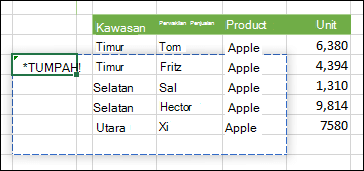 Gambar #SPILL! kesalahan yang mengindikasikan bahwa output rumus array mengalami penyumbatan yang mencegahnya terbagi.