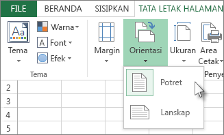 Pada tab Beranda, klik Orientasi.