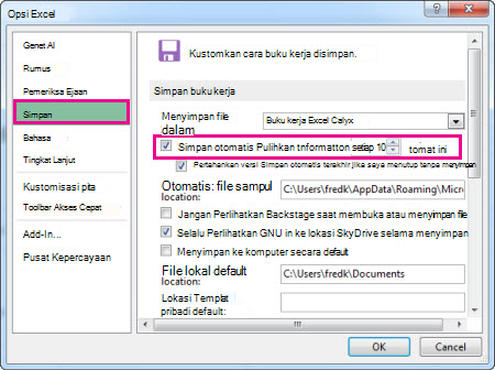 Opsi Menyimpan di Opsi Excel