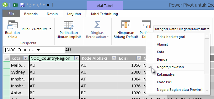 Kategori Data di PowerPivot
