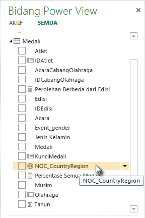 ikon lokasi geografis di Bidang Power View