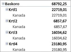 PivotTable dalam bentuk ringkas