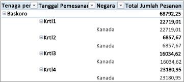 PivotTable dalam bentuk kerangka