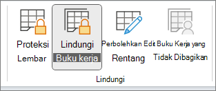 Lindungi Buku Kerja Disorot