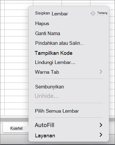 Lindungi menu Buku Kerja tidak tersedia MacOS