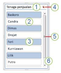Cuplikan layar elemen pemotong PivotTable.