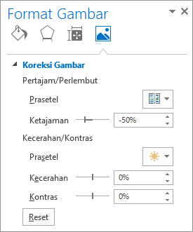 Opsi Koreksi Gambar dalam panel tugas Format Gambar