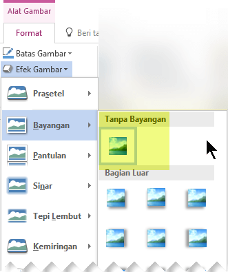 Nonaktifkan efek gambar yang tidak Anda inginkan dengan memilih opsi Tanpa Efek.