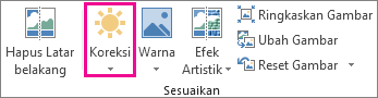 Tombol koreksi pada tab Alat Gambar