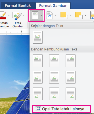 Pada tab Format Gambar, Opsi Posisi dan Tata Letak Lainnya akan disorot.