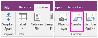 Cuplikan layar tombol Sisipkan Gambar di OneNote 2016.