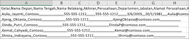 Contoh file .csv yang disimpan dalam format .xls.