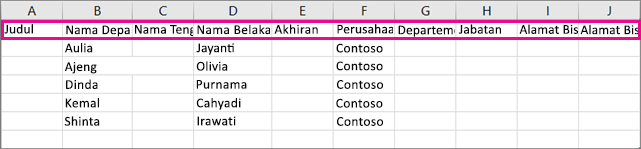 Berikut tampilan sampel file .csv di Excel.