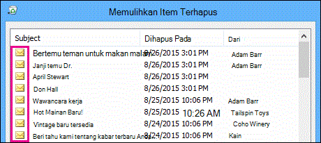 Semua tipe item memiliki ikon yang sama di folder Item yang Dapat Dipulihkan