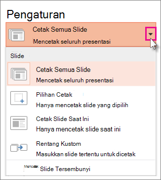 Pengaturan Cetak