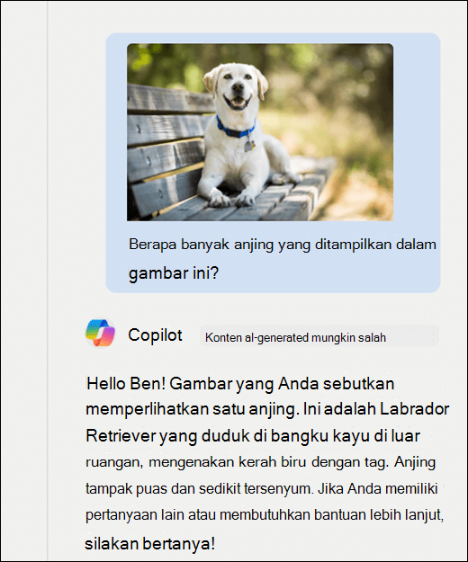 Cuplikan layar Copilot. Gambar anjing telah ditempelkan bersama dengan perintah Berapa banyak anjing yang ditampilkan dalam gambar ini? Copilot telah direspons secara akurat dan memberikan deskripsi tambahan tentang gambar.