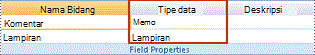 Pengaturan tipe data