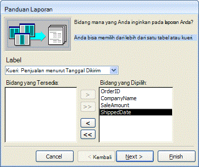 Pemilihan bidang dalam panduan laporan