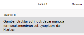 Kotak dialog teks alt untuk gambar di OneNote untuk iOS.