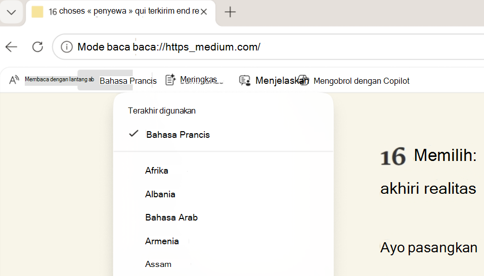 Cuplikan layar dari Mode Baca Terjemahkan.