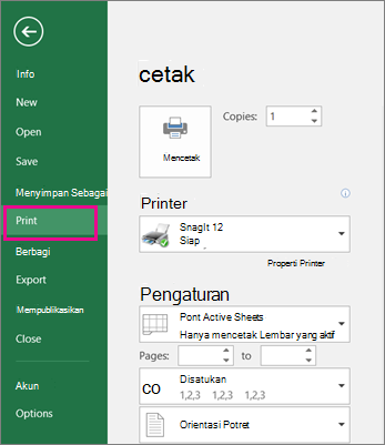 Klik Cetak File > untuk melihat pratinjau lembar kerja Anda