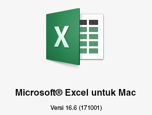 Logo Microsoft Excel untuk Mac memperlihatkan versi 16.6