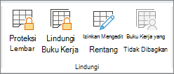 Opsi perlindungan buku kerja