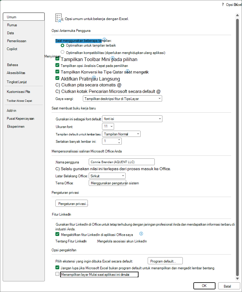 Cuplikan layar yang memperlihatkan opsi Mulai dalam kotak dialog Opsi Excel.