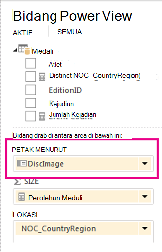 Petak Power View