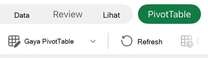 Tab PivotTable di iPad