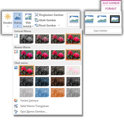 Menu tombol warna dibuka dari tab Format Alat Gambar