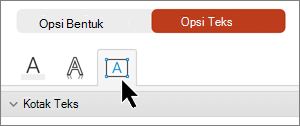 Kotak teks tab Opsi teks dipilih.