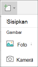Pilih Sisipkan > Foto