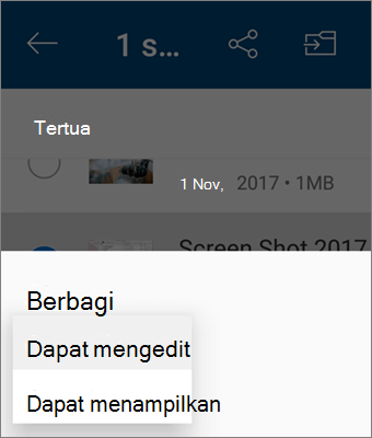 Cuplikan layar mengubah izin saat berbagi di aplikasi OneDrive untuk Android