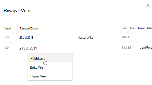 Panel Riwayat Versi