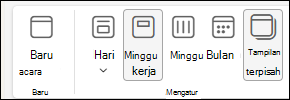 Cuplikan layar tampilan Calendar dengan opsi Tampilan terpisah dipilih