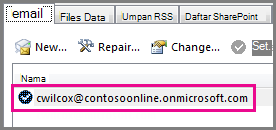 Sebuah akun dalam dialog Pengaturan Akun di Outlook 2013