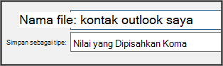 Tetapkan nama untuk file kontak Anda.