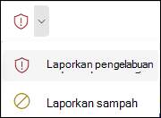 Cuplikan layar tombol Laporan dengan Pengelabuan Laporan dipilih di pita yang disederhanakan di Outlook di web.