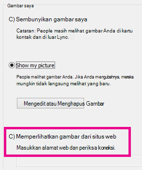 Bagian cuplikan layar dari jendela opsi gambar saya Lync dengan pilih gambar dari situs web yang ditinggikan