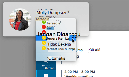 Cuplikan layar potret di jendela Skype, dengan dialog status kehadiran dipilih.