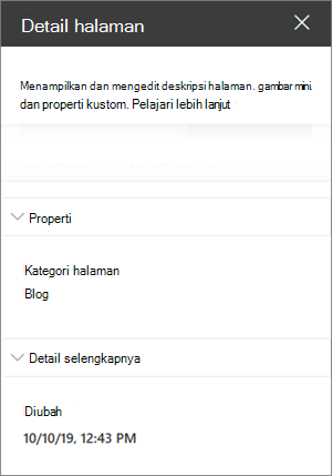 Panel detail halaman dengan kategori blog Halaman