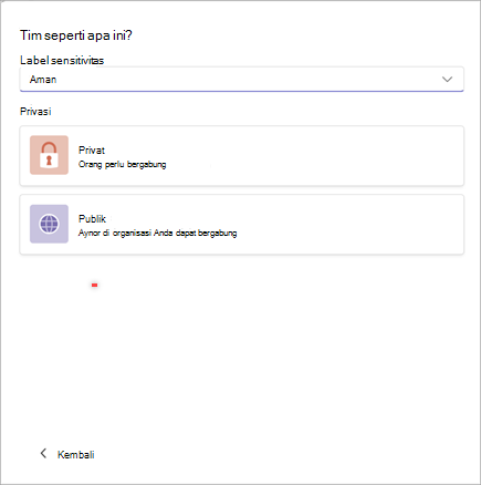 Cuplikan layar jendela untuk membuat tim baru di Microsoft Teams dengan opsi untuk mengatur sensitivitas sebagai Aman dan privasi sebagai Pribadi atau Publik.