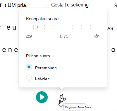 Pengaturan suara Pembaca Imersif