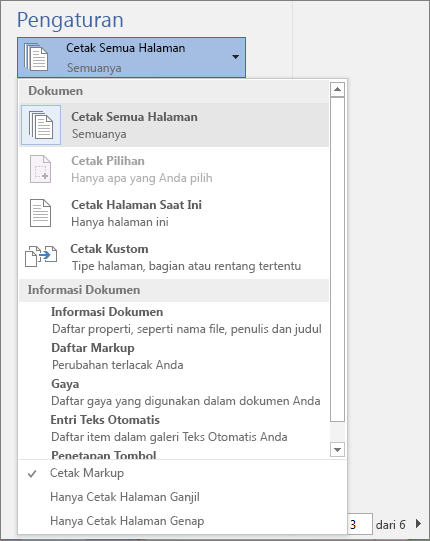 Cuplikan layar panel Cetak dengan menu Cetak Semua Halaman diperluas untuk memperlihatkan opsi tambahan.