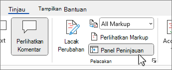 Tombol panel Peninjauan untuk memperlihatkan panel peninjauan