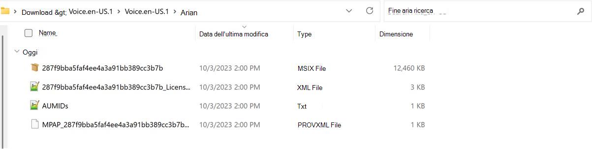 Screenshot della cartella estratta dal pacchetto vocale.