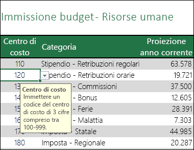 Viene visualizzato un messaggio di input quando gli utenti selezionano la cella